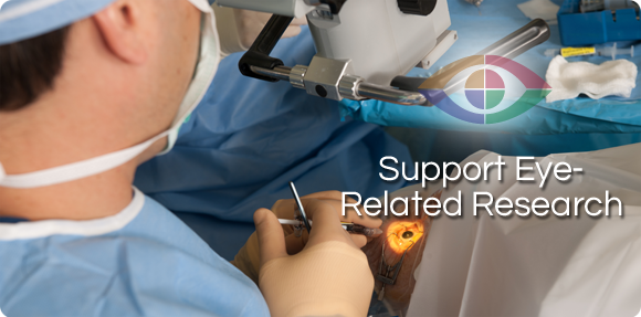 Support Eye-Related Research